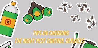 Tips in Choosing the Right Pest Control Services Pest Control Services
