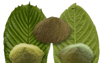 A Complete Guide On Where And How To Buy Kratom