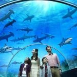 underwater-sea-museum