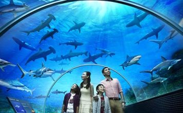 Underwater Sea Museum in India Will Establish in Pondicherry Underwater Sea Museum in Pondicherry