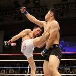 mixed-martial-arts-1314503_960_720