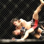 mma-1352580_960_720