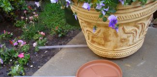 Creative Ideas for Planter Drip Trays