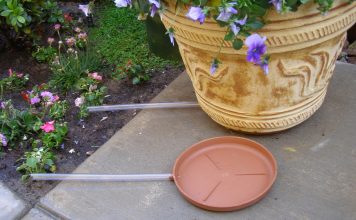 Creative Ideas for Planter Drip Trays