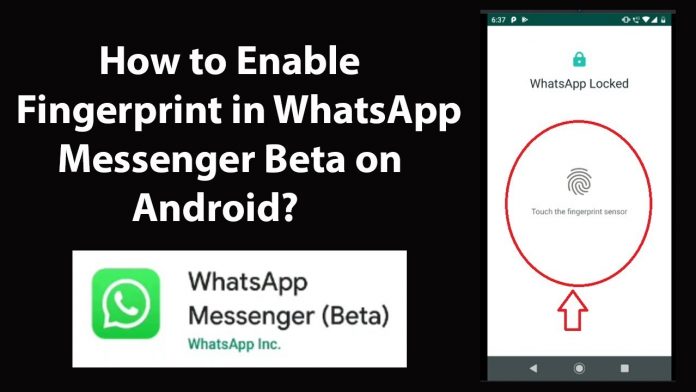 enable fingerprint lock feature on WhatsApp
