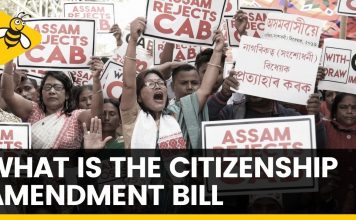 What is Citizenship Amendment Bill: All you should know about