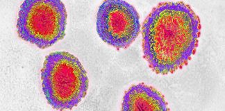 CoronaVirus Disease – Everything you should know about Coronavirus Disease