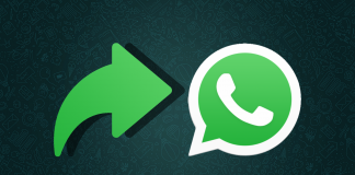 WhatsApp Animated Stickers Going Out Now