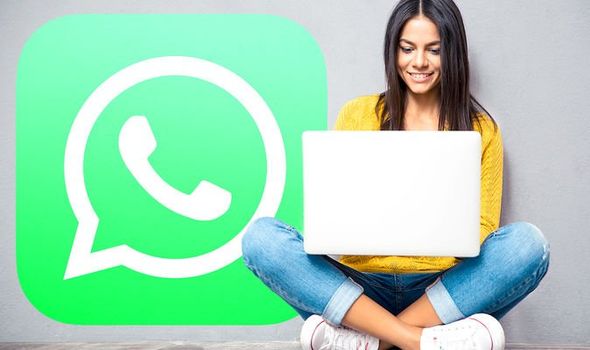 WhatsApp Multi Device Support