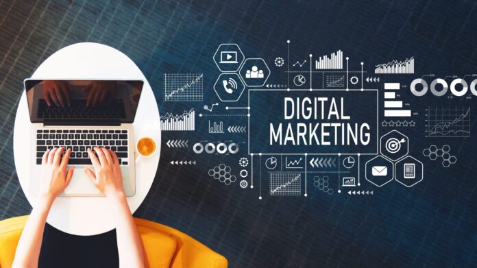 digital marketing company in karnal